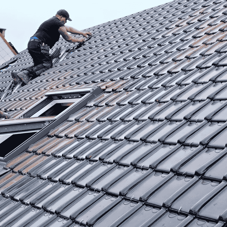 Renobibi Dakbedekking 5